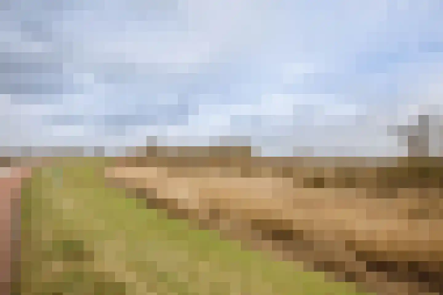 Hogedijk 100 Bergambacht thumbnail 61