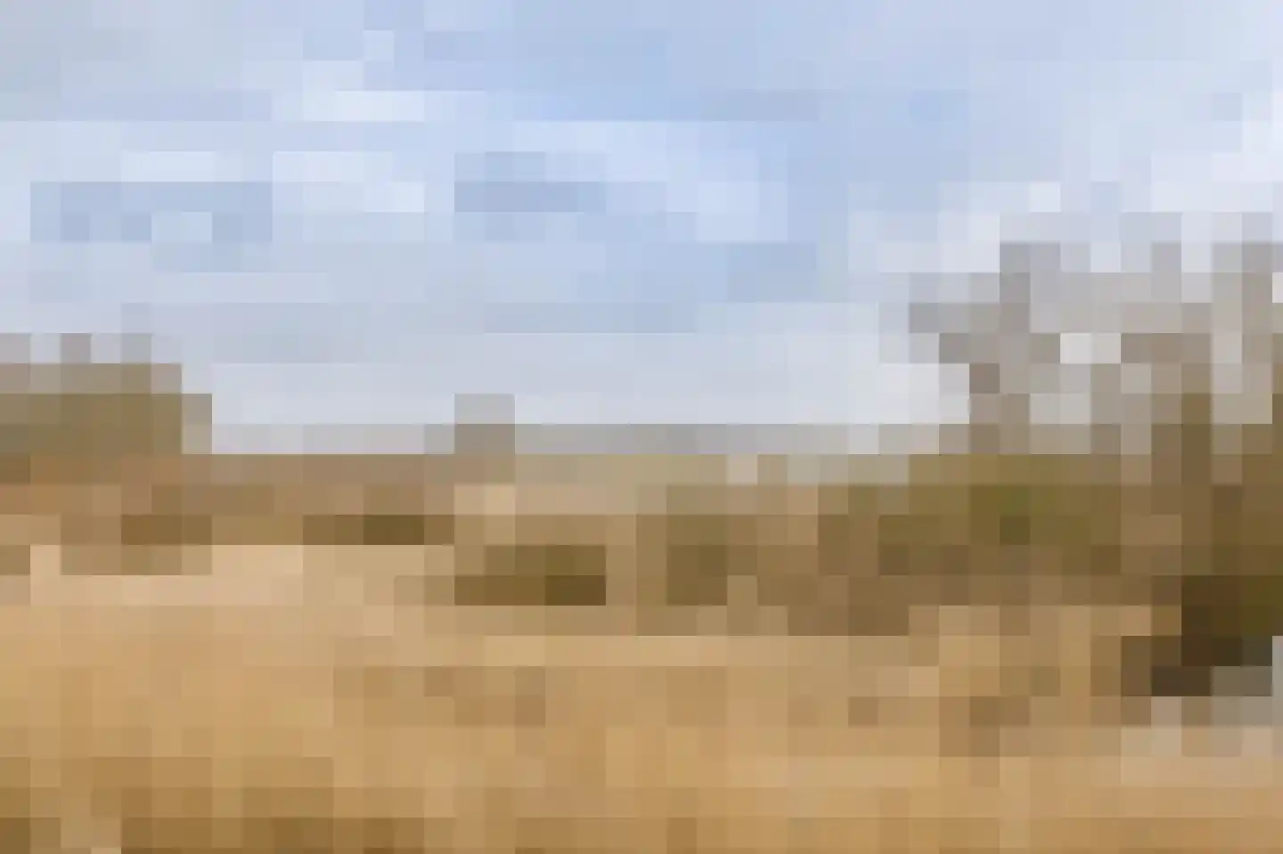 Hogedijk 100 Bergambacht thumbnail 62