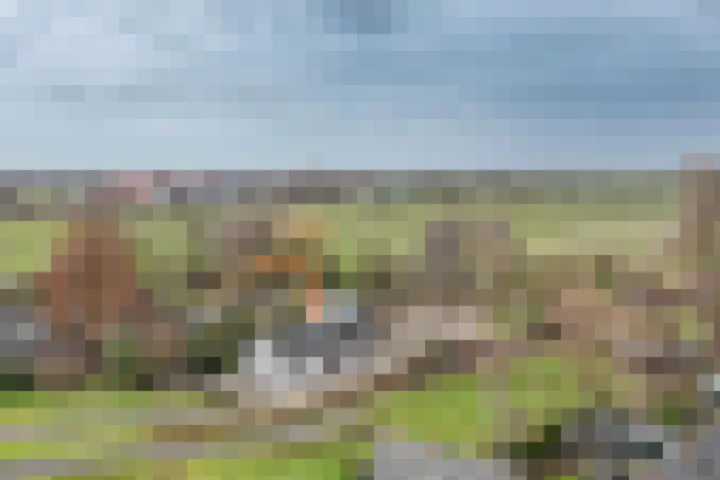 Hogedijk 100 Bergambacht thumbnail 63
