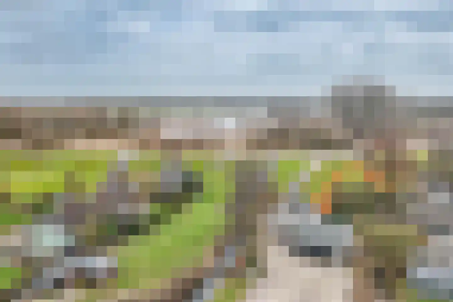 Hogedijk 100 Bergambacht thumbnail 64
