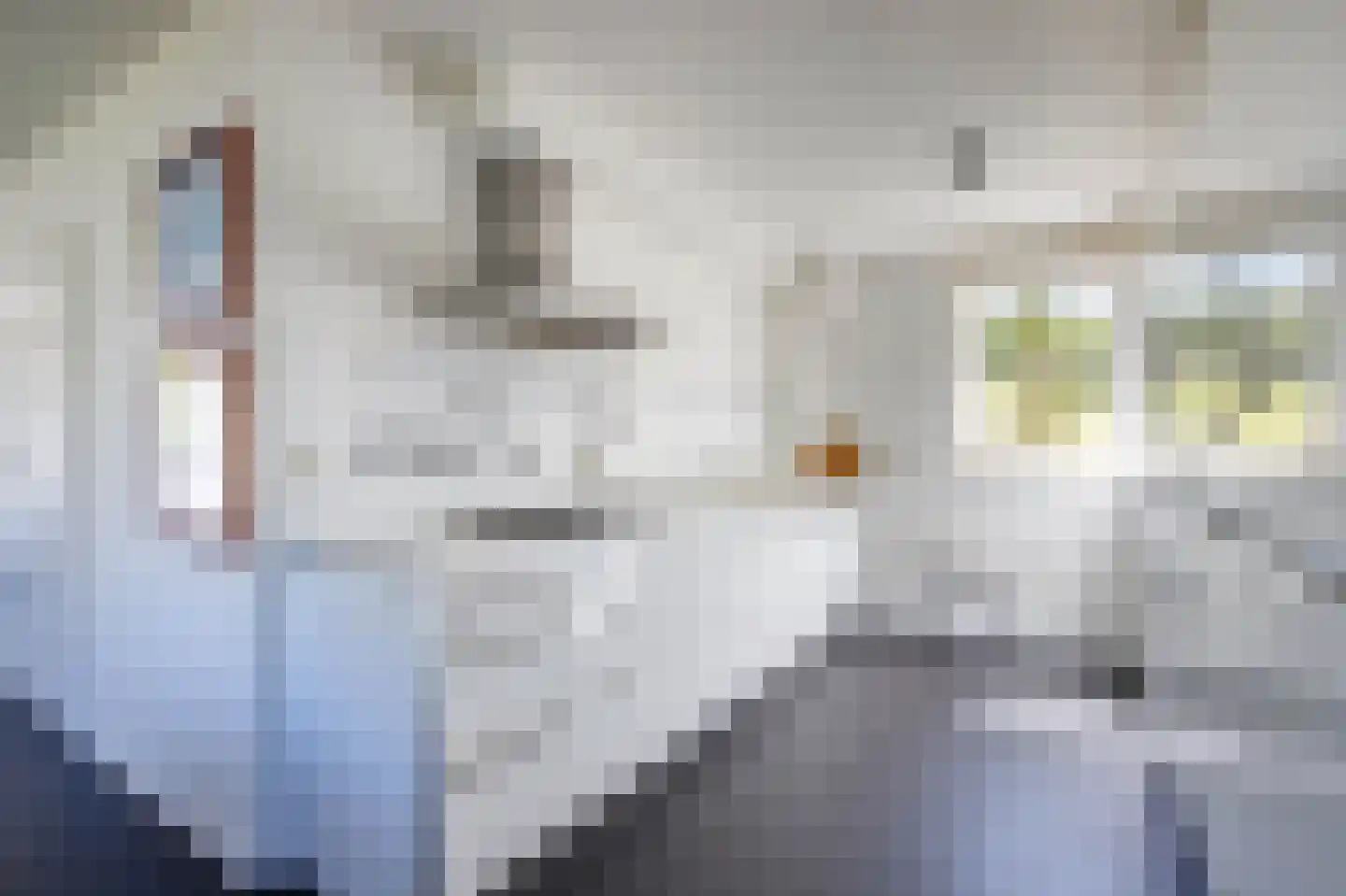 Hogedijk 112 Bergambacht thumbnail 17