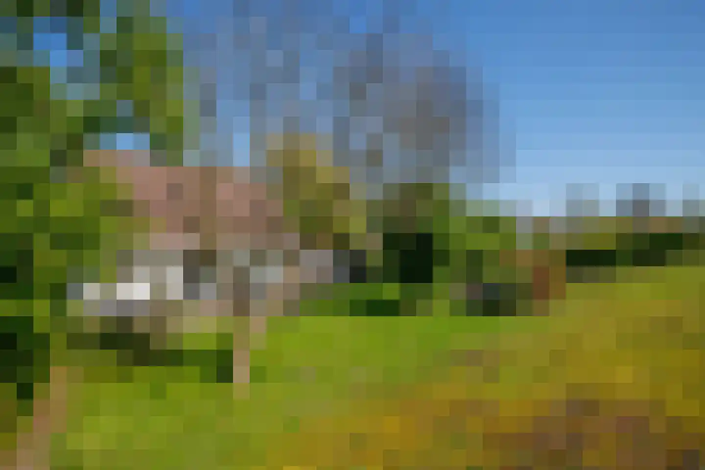 Hogedijk 112 Bergambacht thumbnail 33