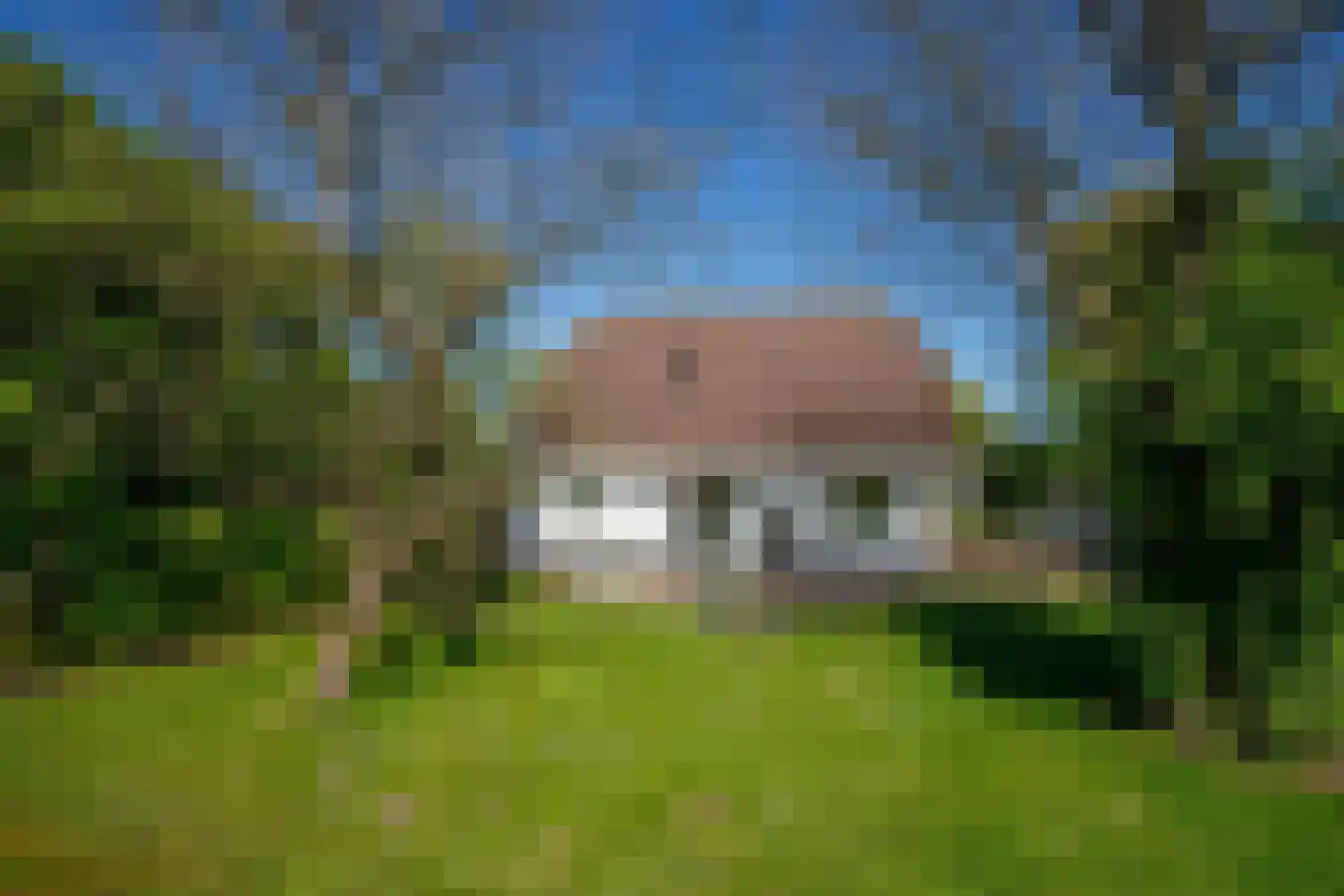 Hogedijk 112 Bergambacht thumbnail 34