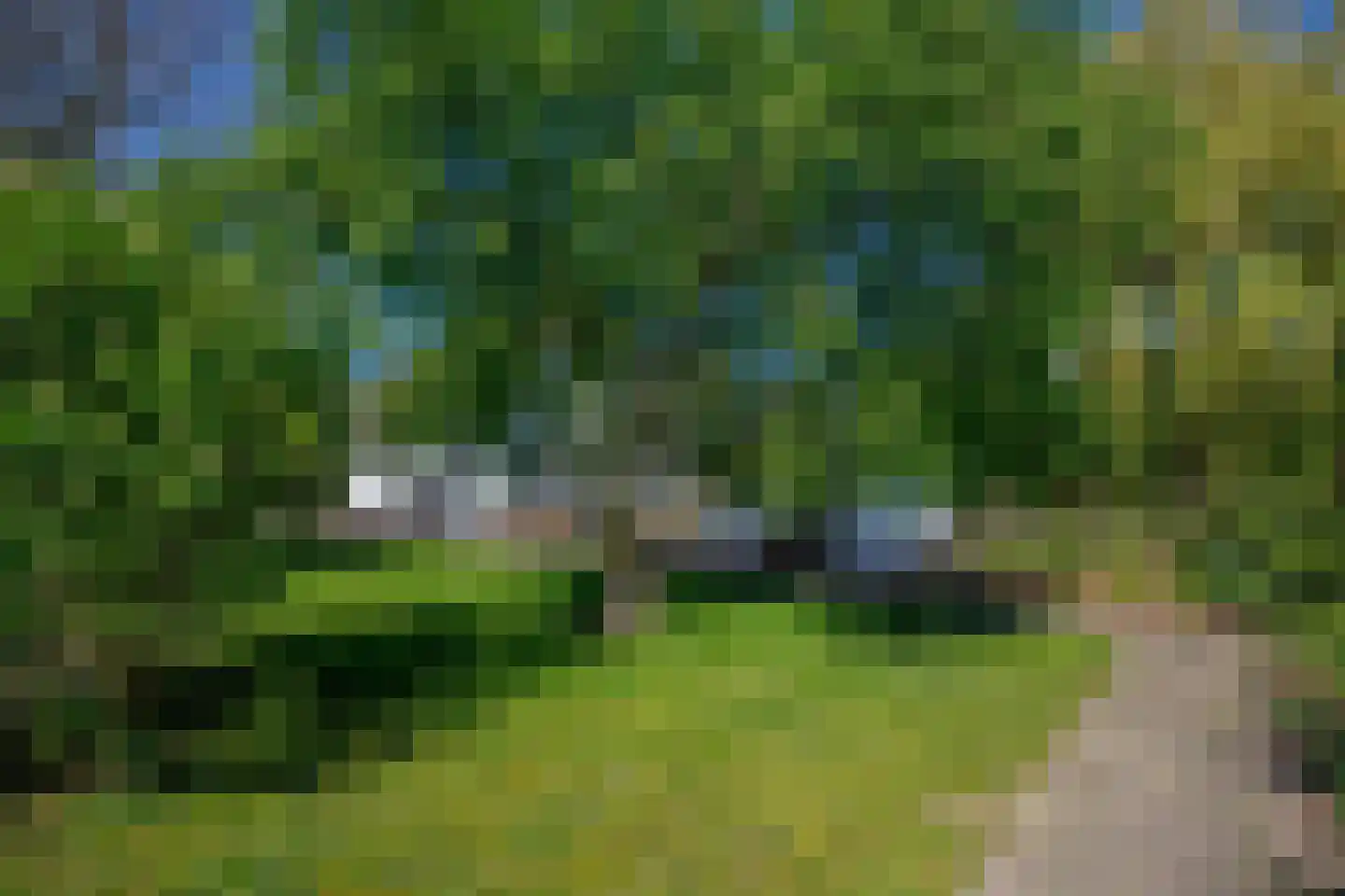 Hogedijk 112 Bergambacht thumbnail 35