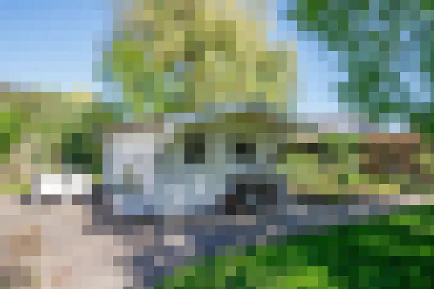 Hogedijk 112 Bergambacht thumbnail 37
