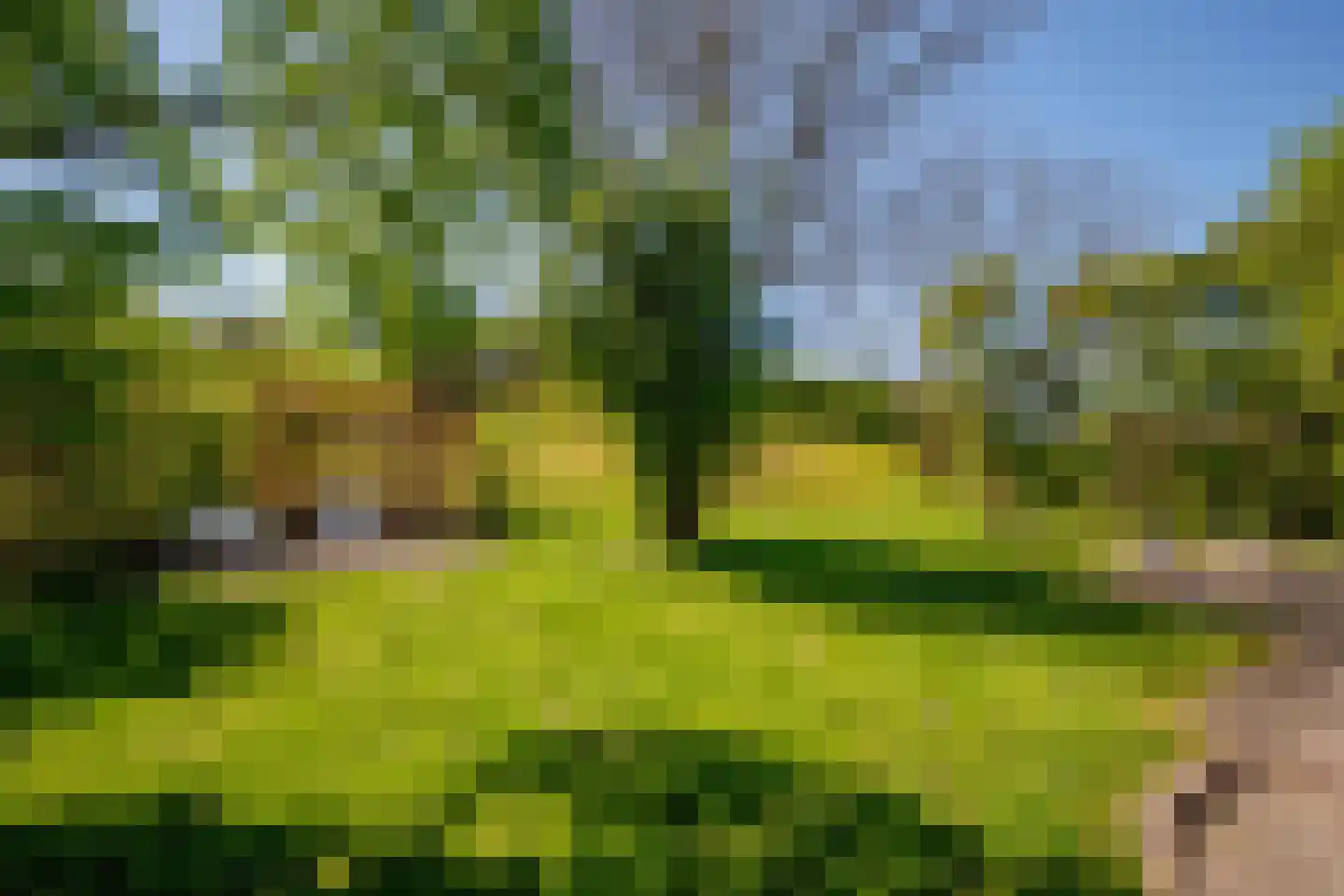 Hogedijk 112 Bergambacht thumbnail 38