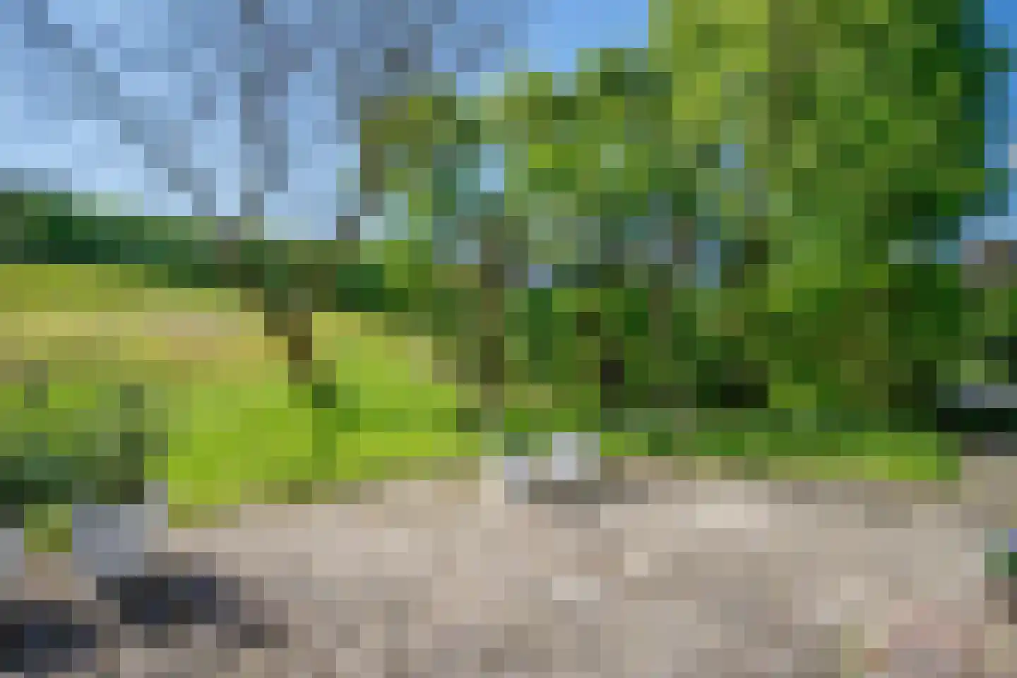 Hogedijk 112 Bergambacht thumbnail 39