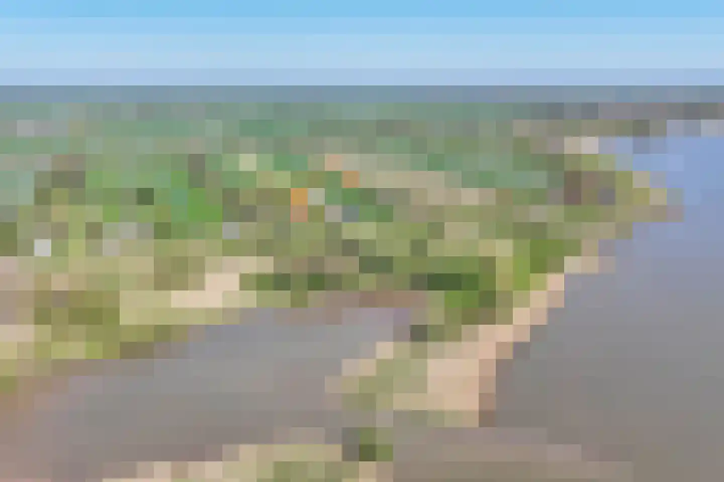Hogedijk 112 Bergambacht thumbnail 4