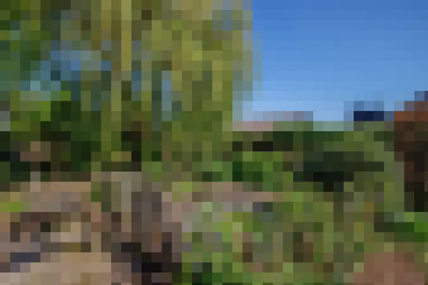 Hogedijk 112 Bergambacht thumbnail 40
