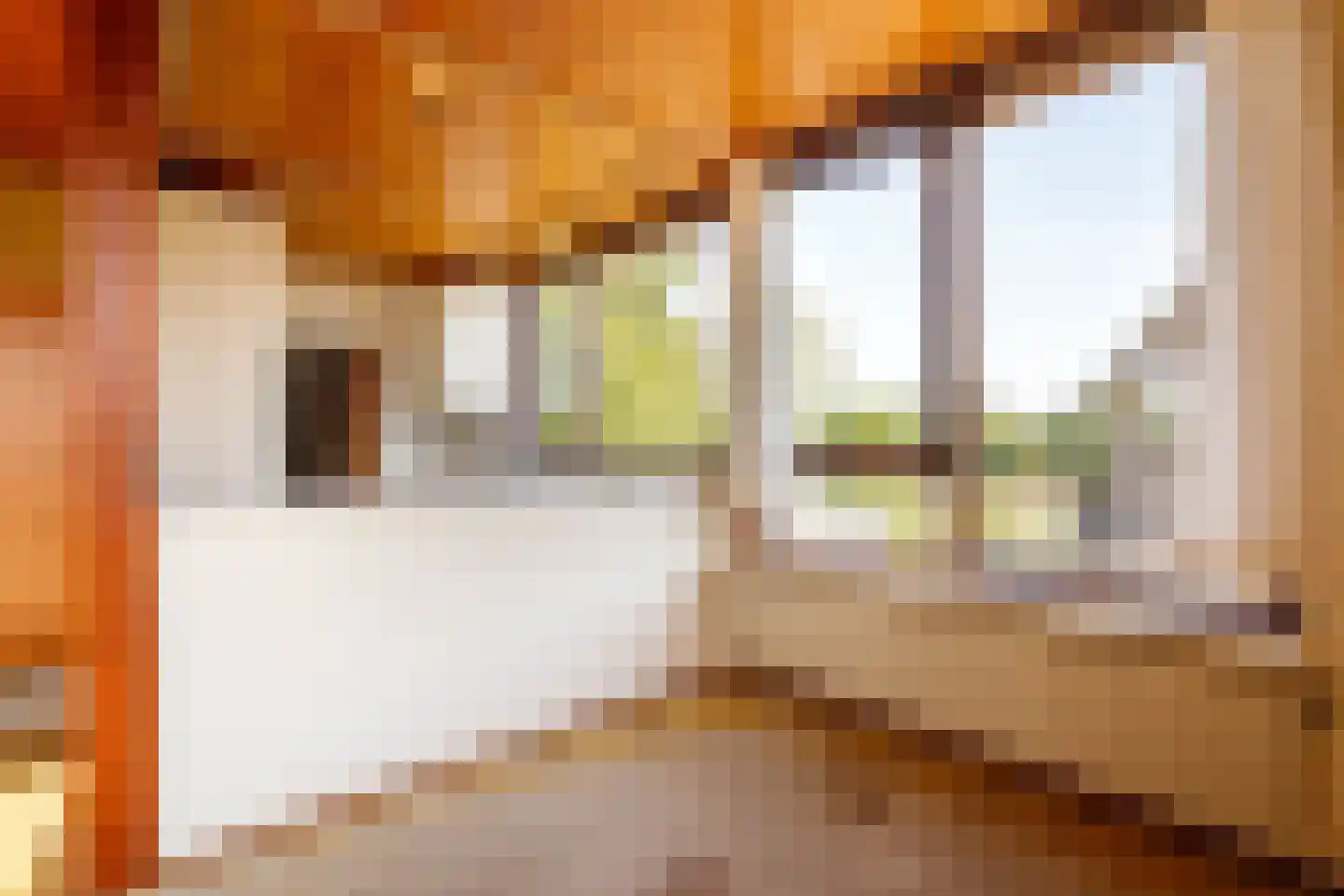 Hogedijk 48 Bergambacht thumbnail 21