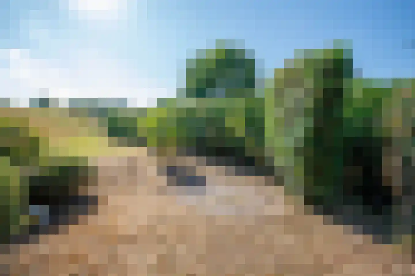 Hogedijk 48 Bergambacht thumbnail 32