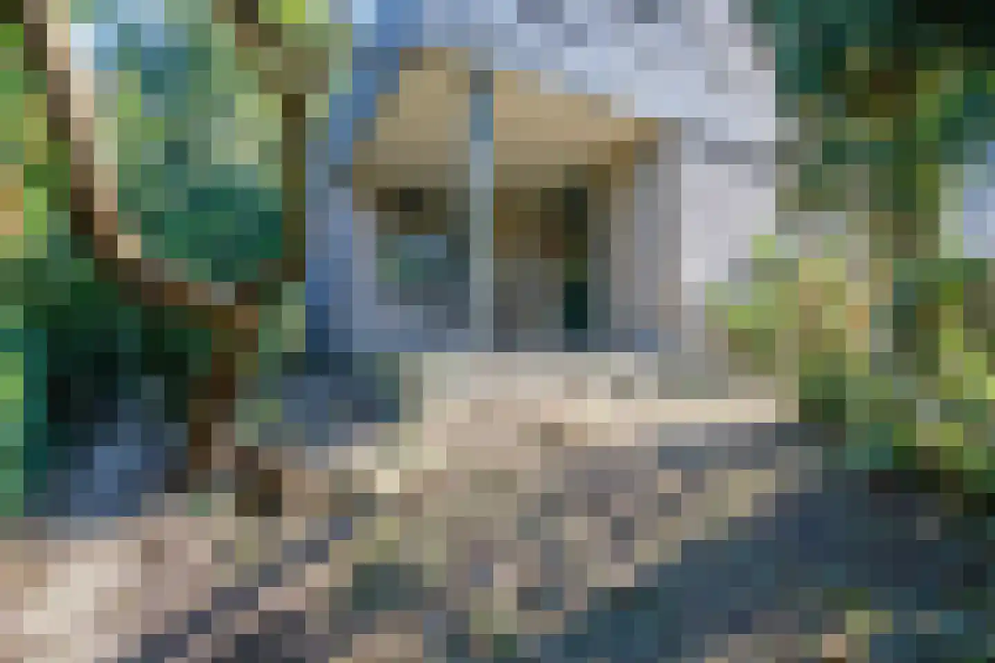 Hogedijk 48 Bergambacht thumbnail 34