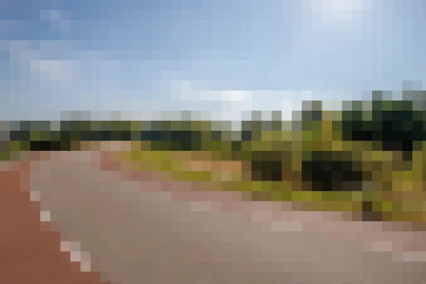 Hogedijk 48 Bergambacht thumbnail 38