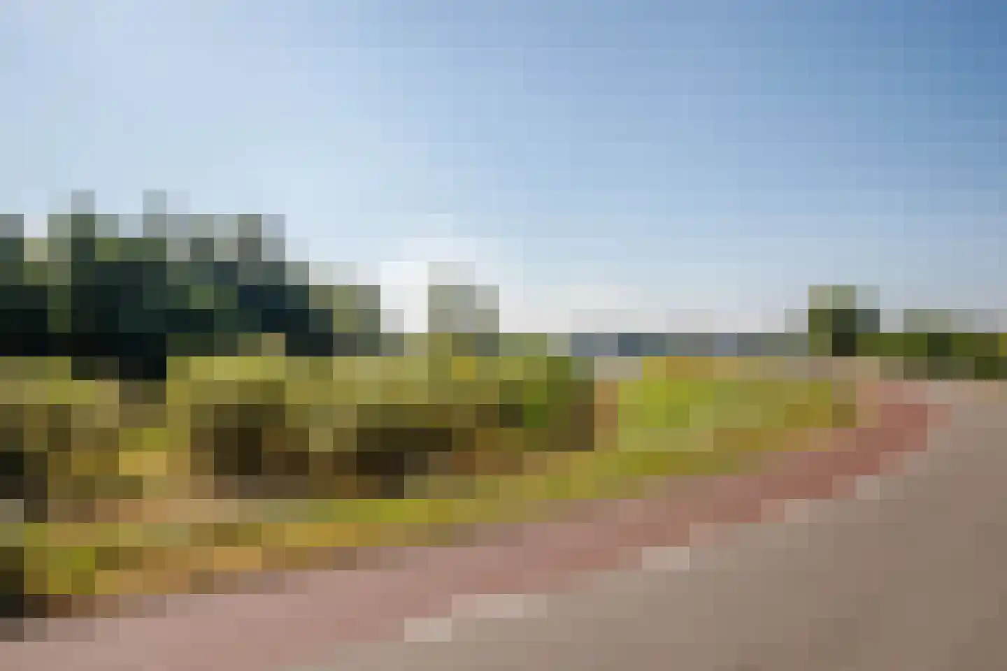 Hogedijk 48 Bergambacht thumbnail 39