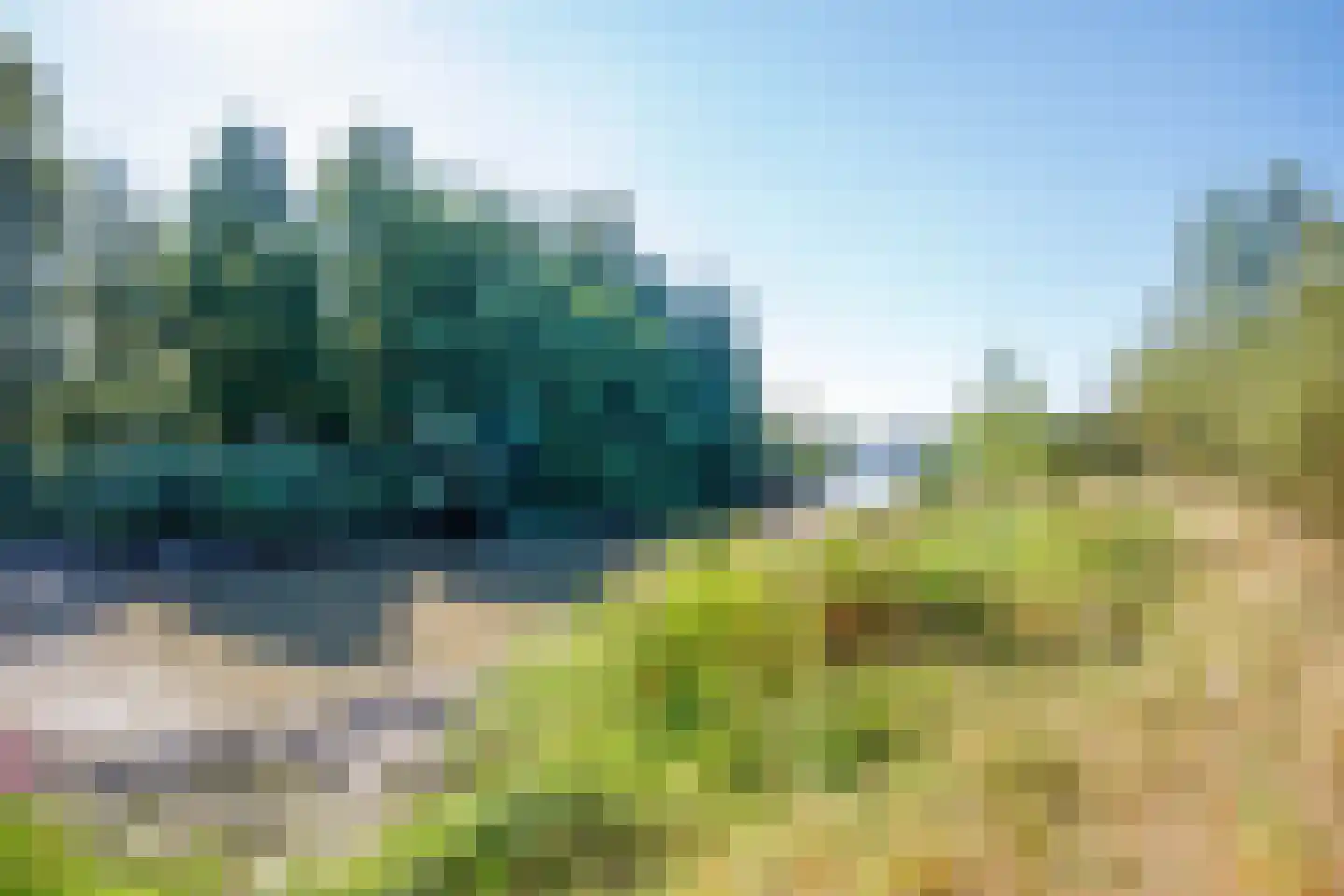 Hogedijk 48 Bergambacht thumbnail 40