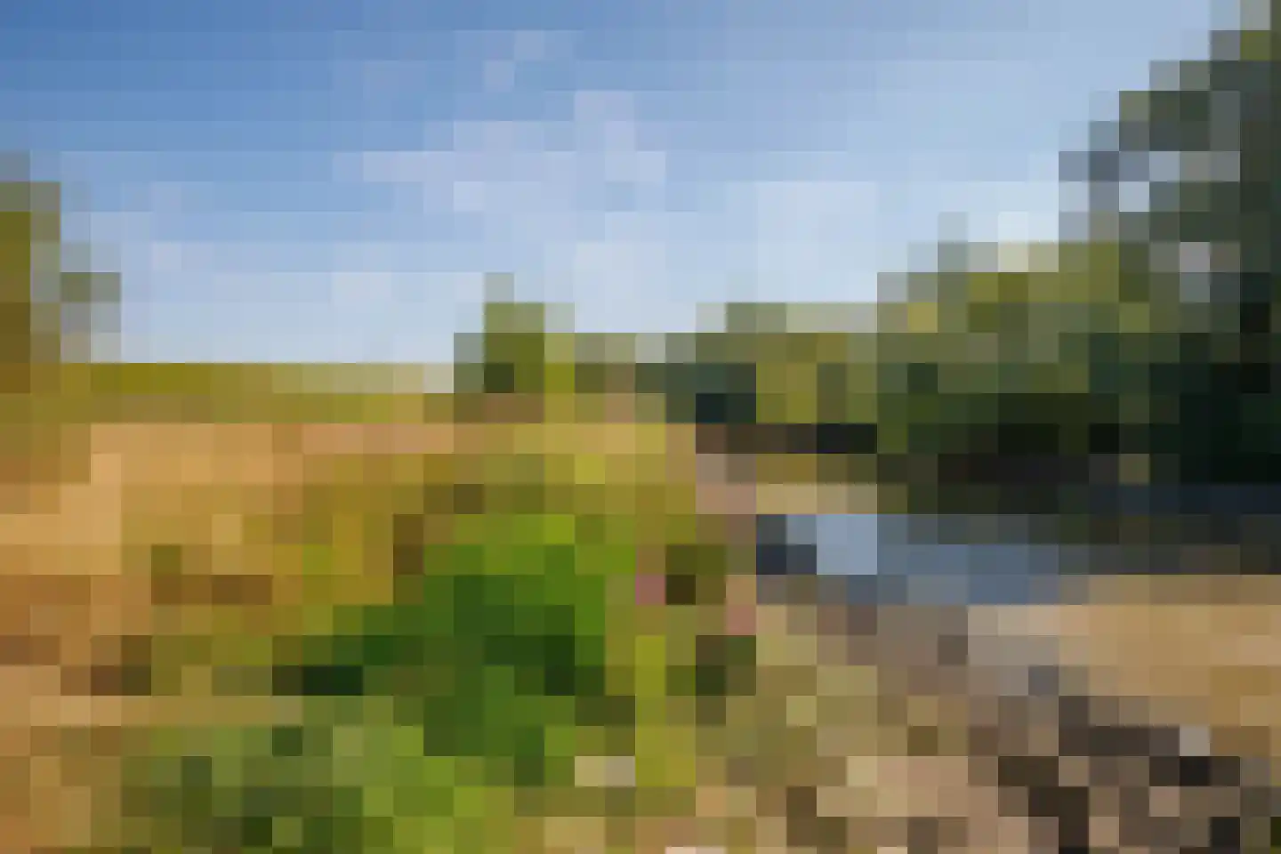 Hogedijk 48 Bergambacht thumbnail 41