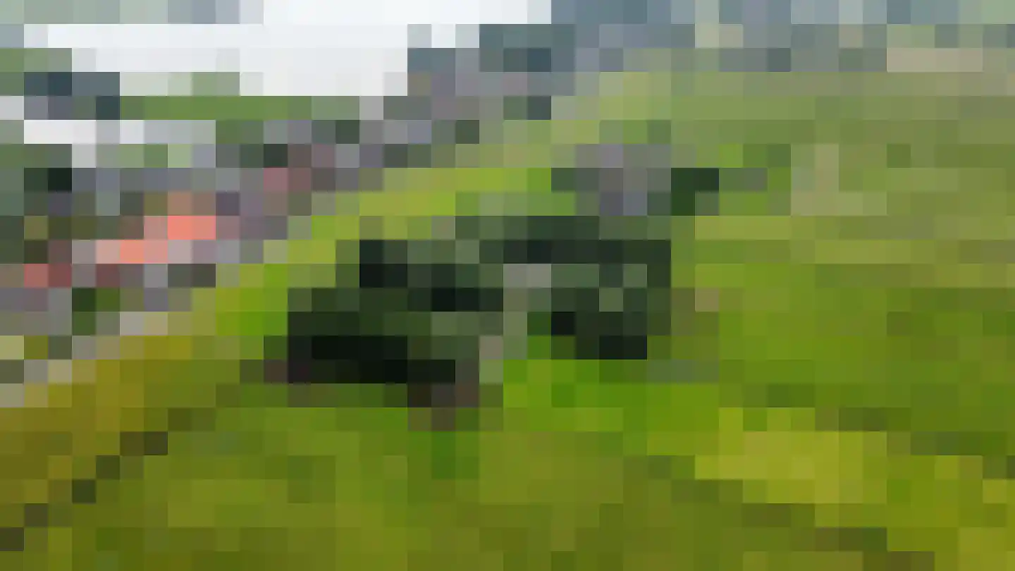 Hogedijk Noorden thumbnail 10