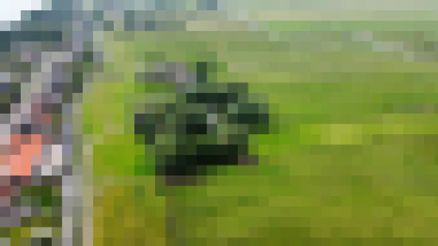 Hogedijk Noorden thumbnail 11