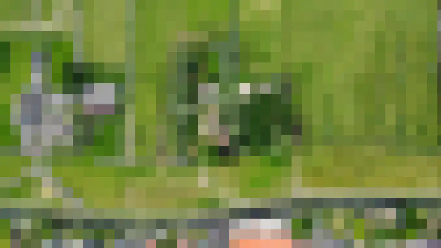 Hogedijk Noorden thumbnail 12