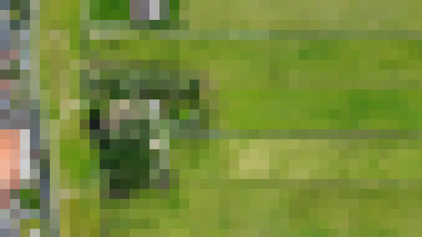 Hogedijk Noorden thumbnail 13