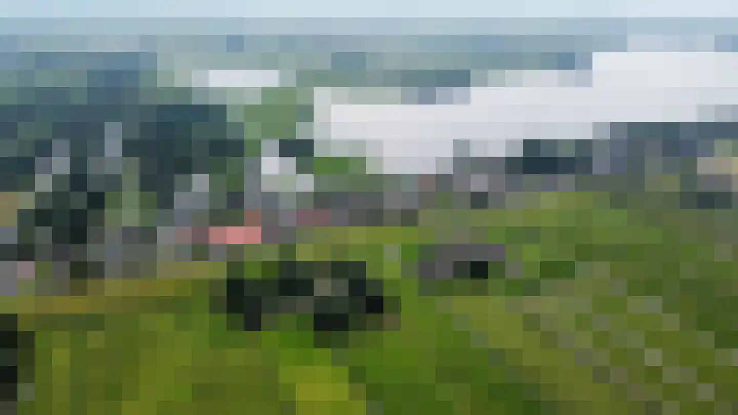 Hogedijk Noorden thumbnail 14