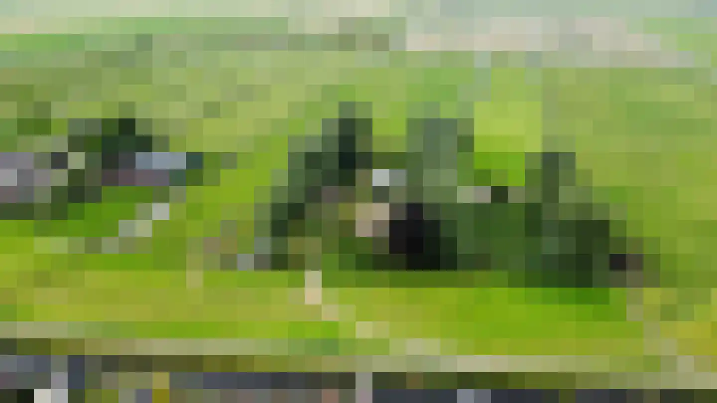 Hogedijk Noorden thumbnail 15
