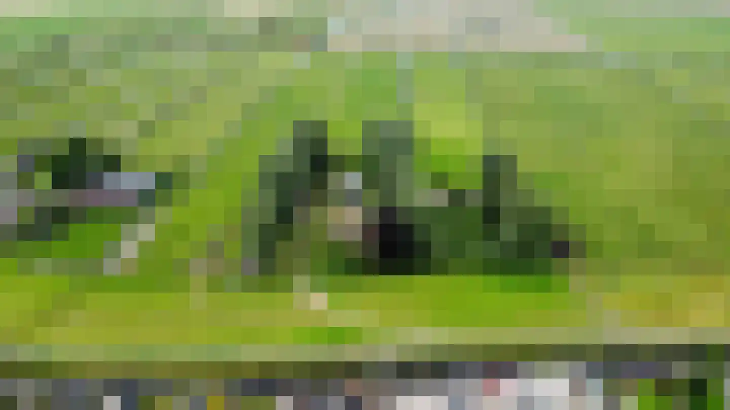 Hogedijk Noorden thumbnail 16