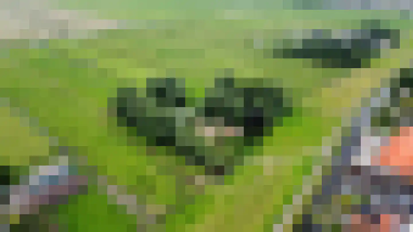 Hogedijk Noorden thumbnail 17