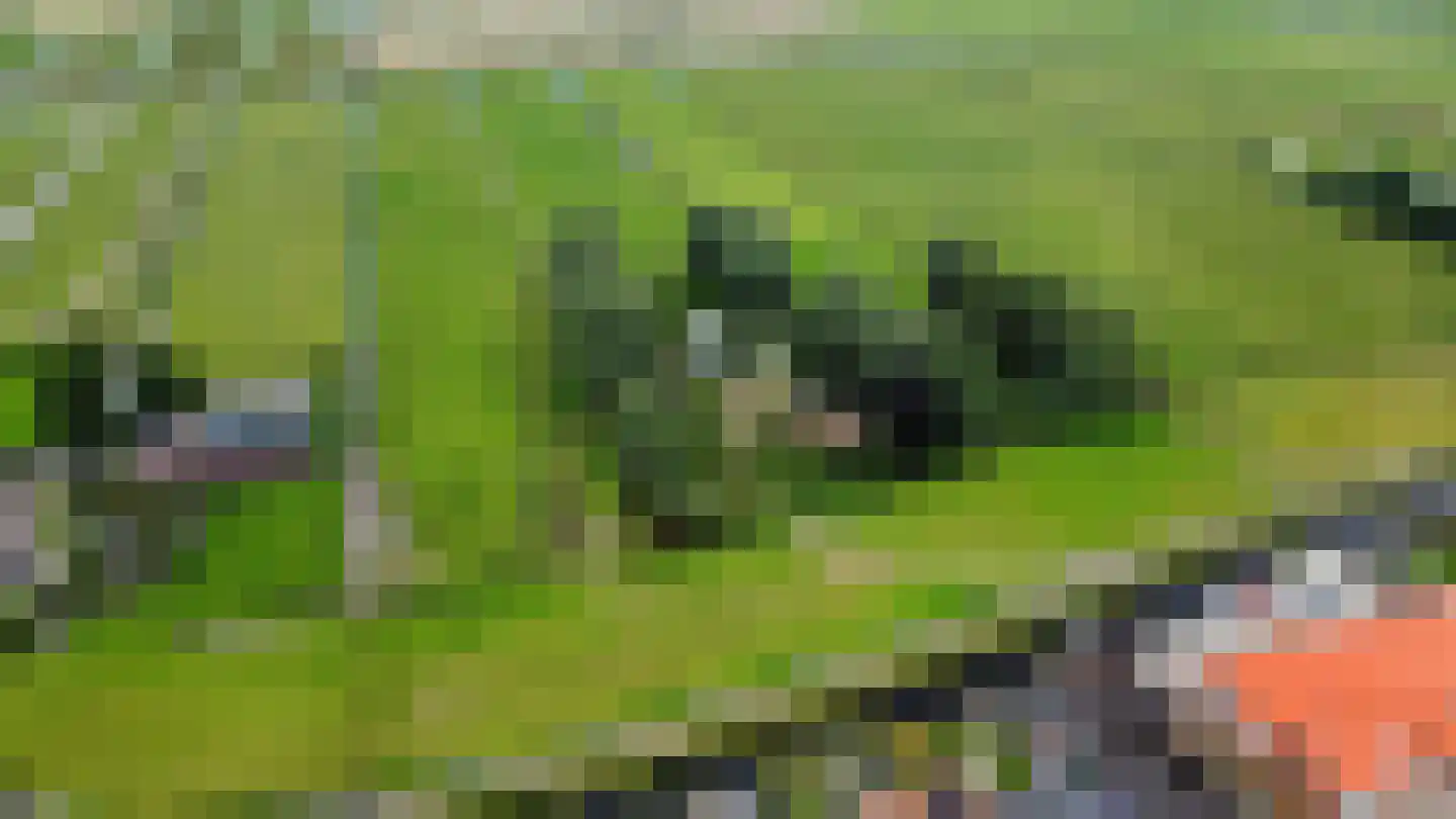 Hogedijk Noorden thumbnail 4