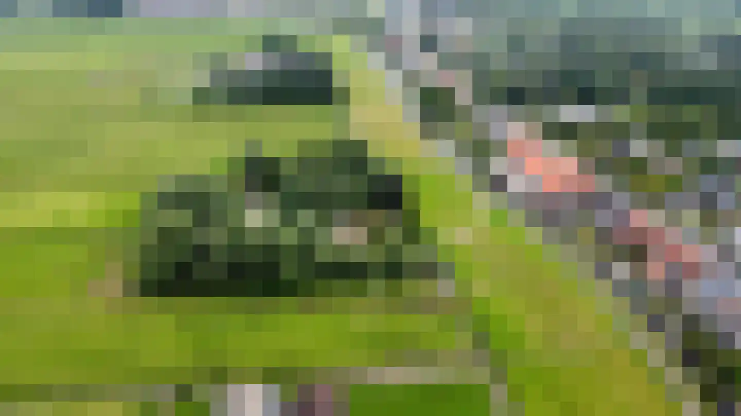 Hogedijk Noorden thumbnail 5