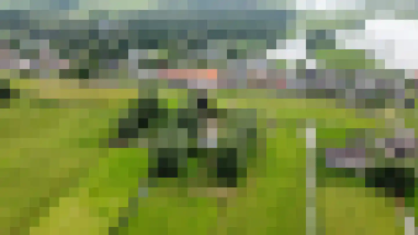 Hogedijk Noorden thumbnail 7