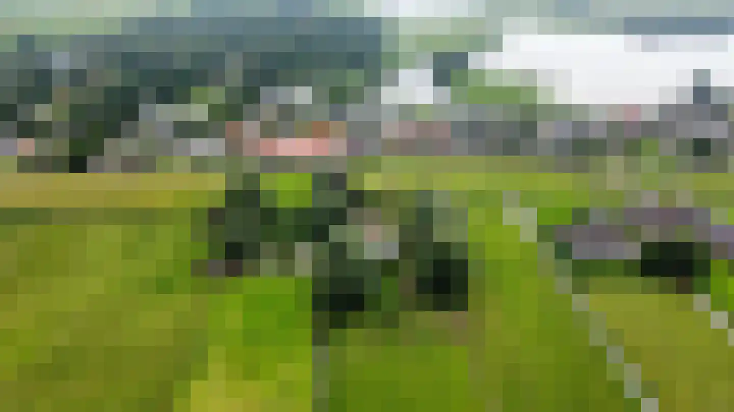 Hogedijk Noorden thumbnail 8