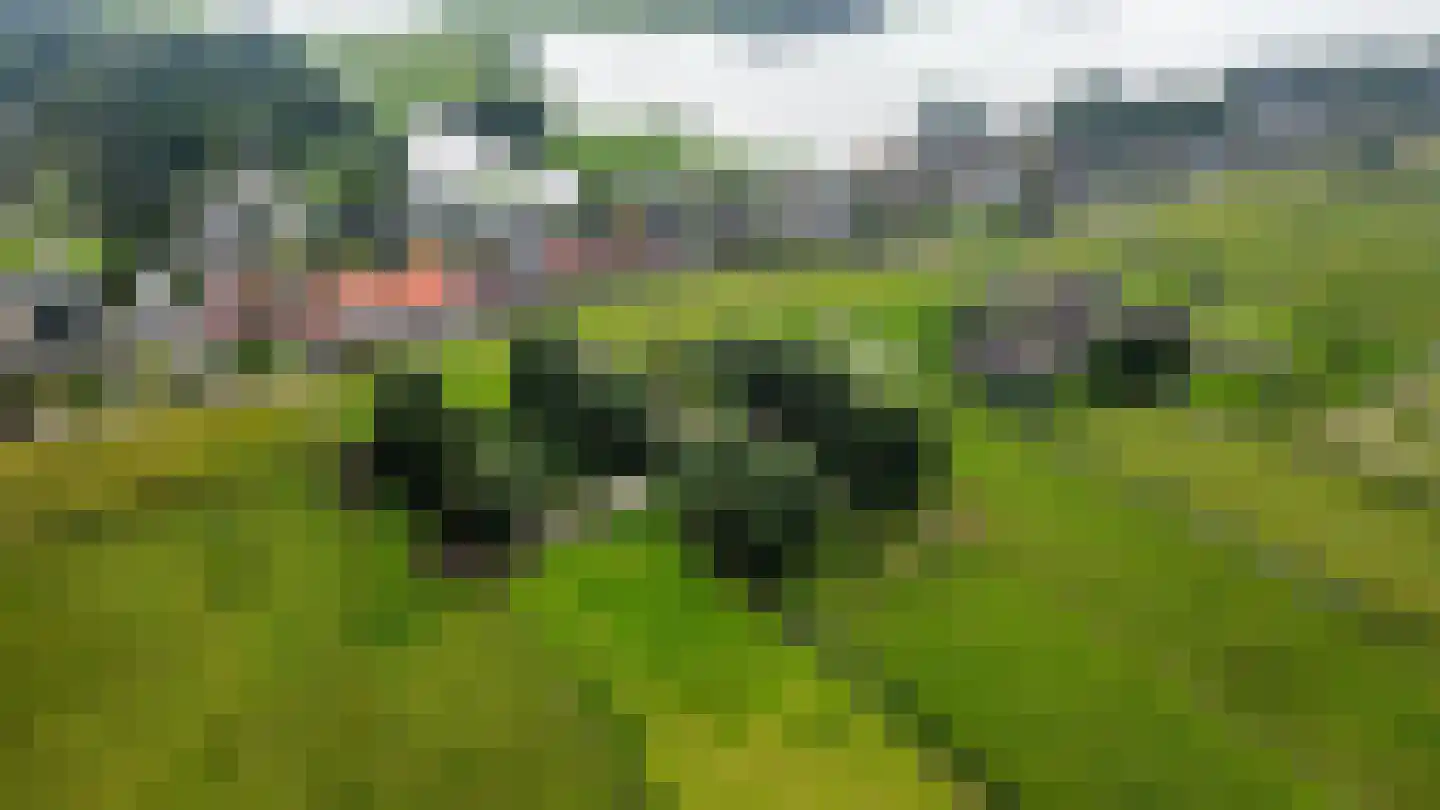 Hogedijk Noorden thumbnail 9