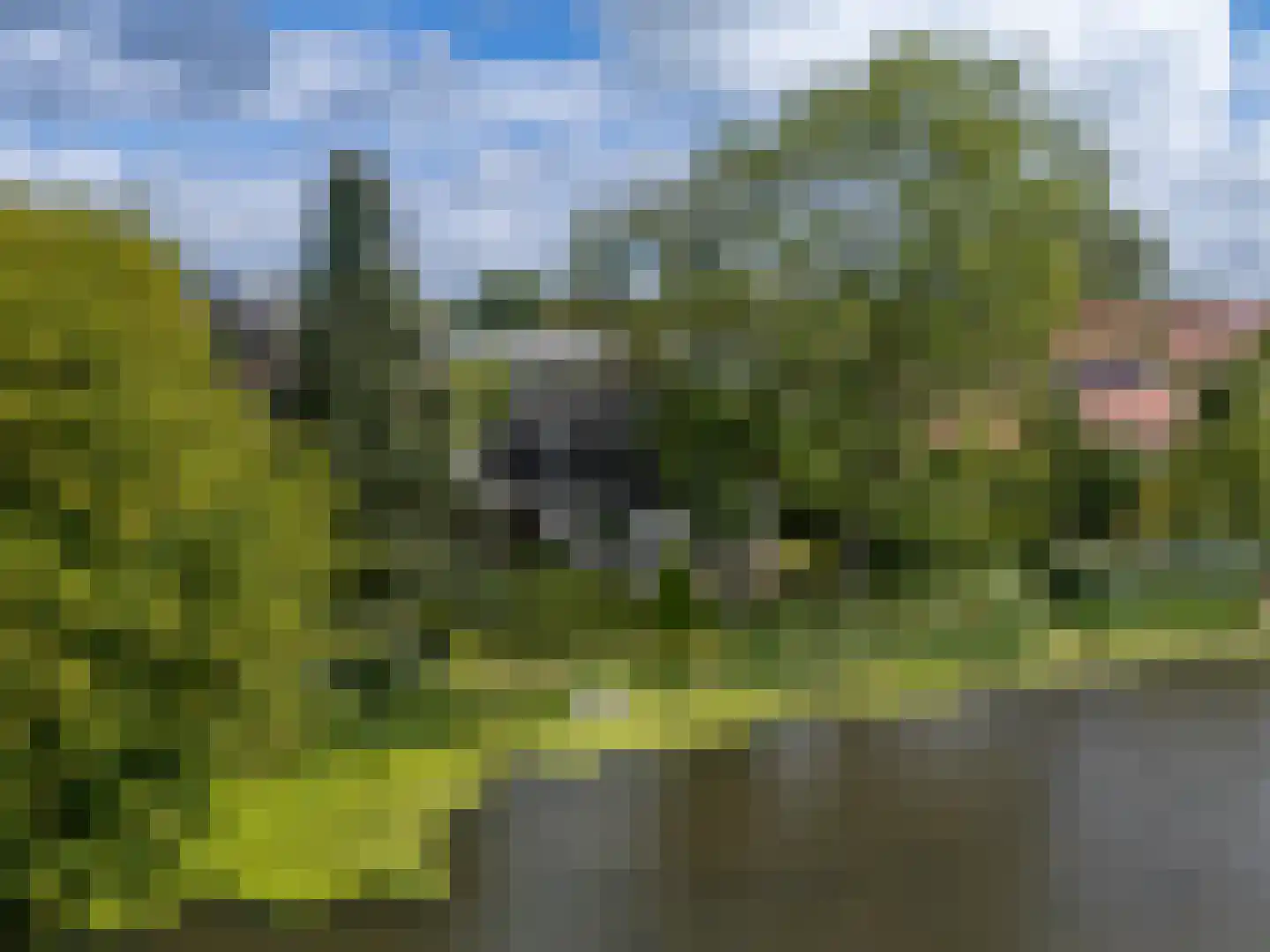 Hogedijken 2 in Dokkum