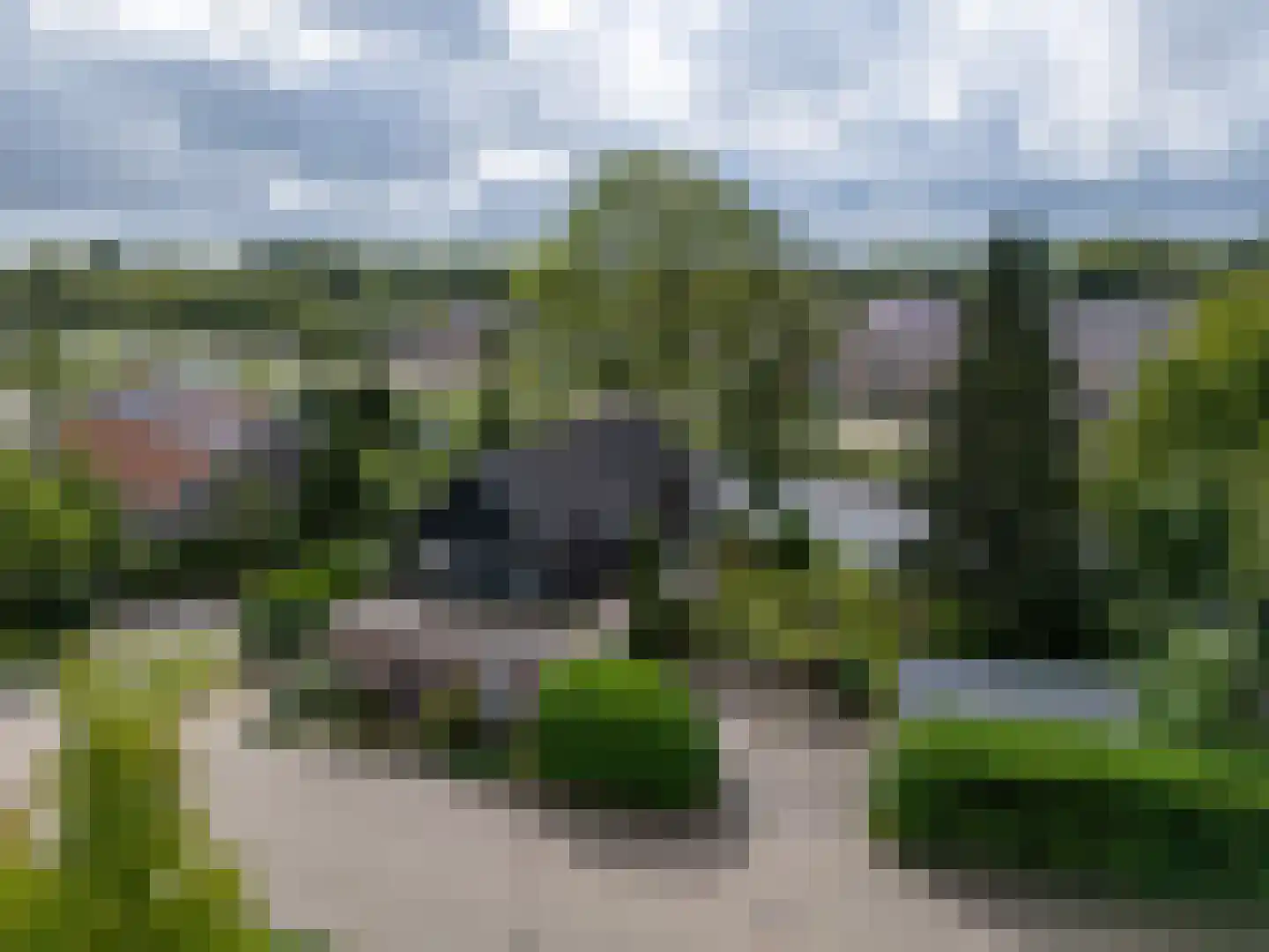 Hogedijken 2 Dokkum foto 3