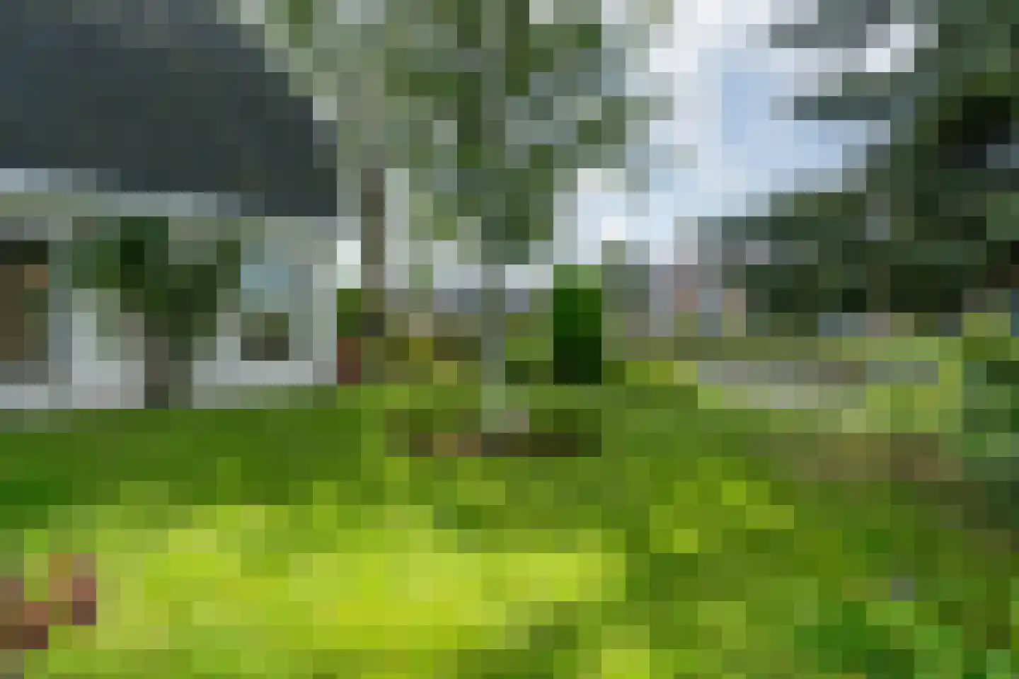 Hogedijken 2 Dokkum thumbnail 37