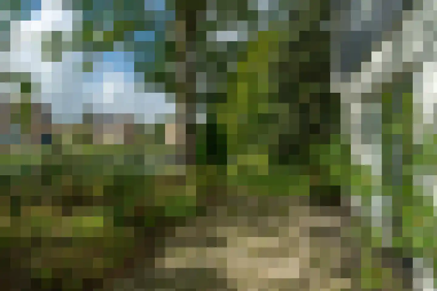 Hogedijken 2 Dokkum thumbnail 40