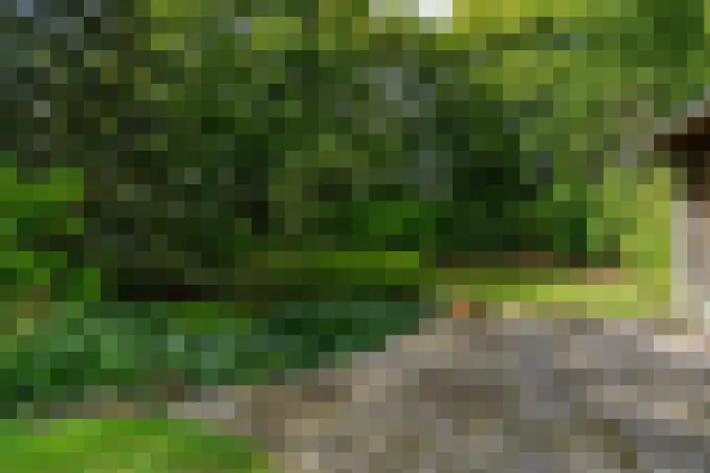 Hogedijken 2 Dokkum thumbnail 44