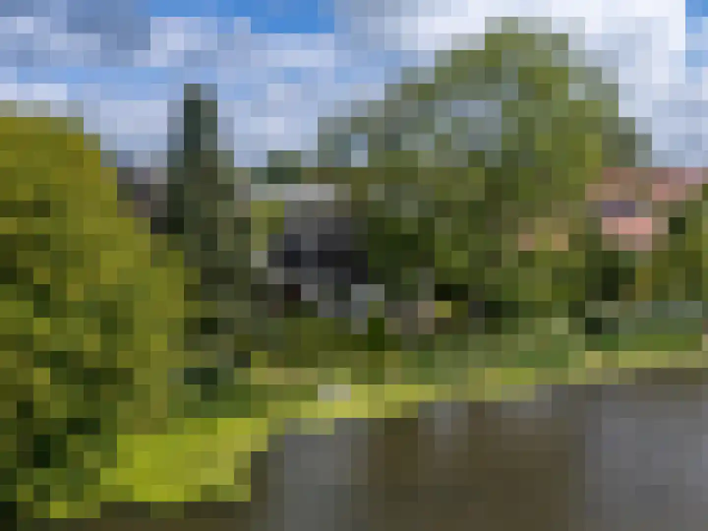 Hogedijken 2 Dokkum thumbnail 45