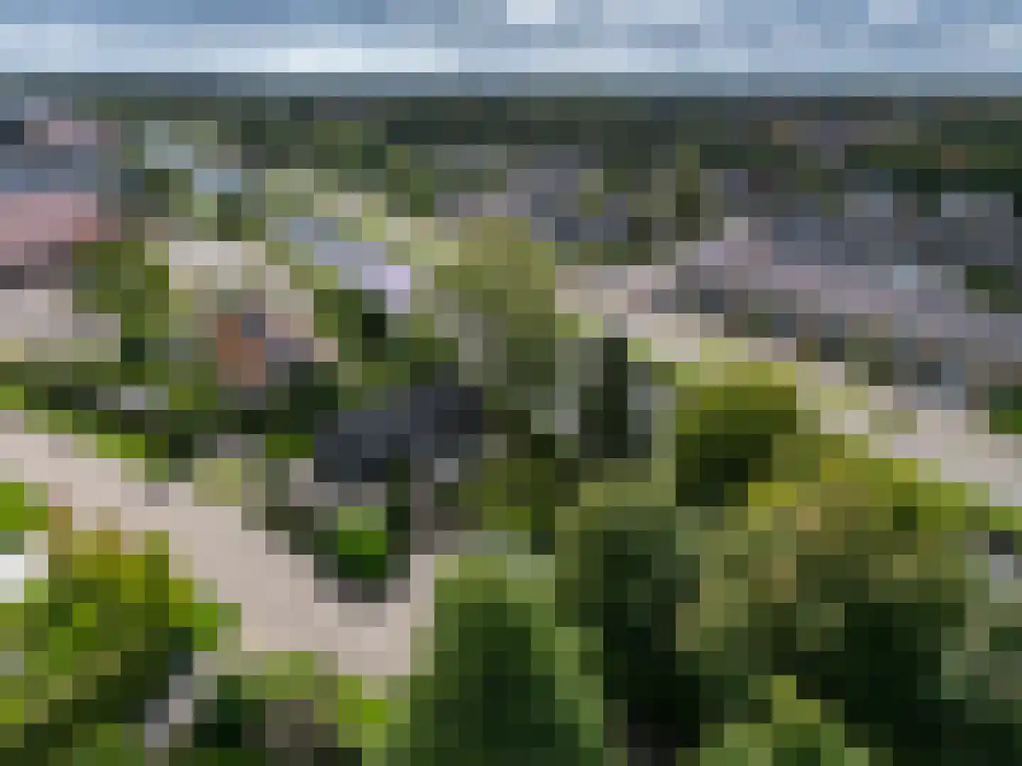 Hogedijken 2 Dokkum thumbnail 8