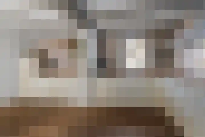 Hogehoek 11 Oeffelt thumbnail 11