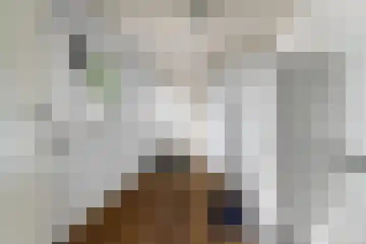 Hogehoek 11 Oeffelt thumbnail 13