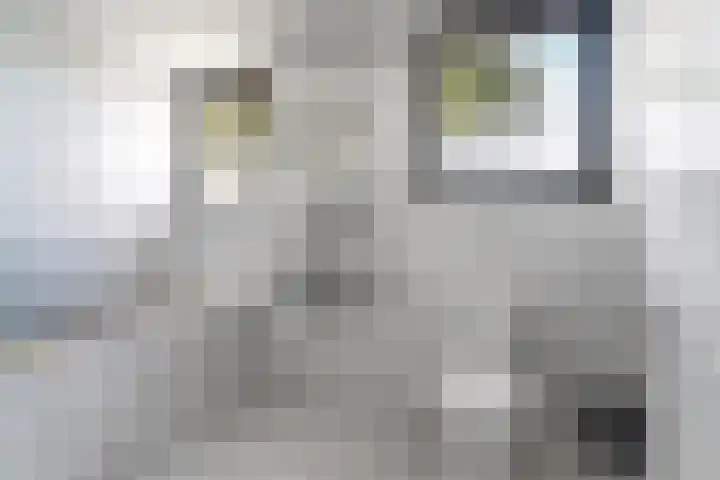 Hogehoek 11 Oeffelt thumbnail 15