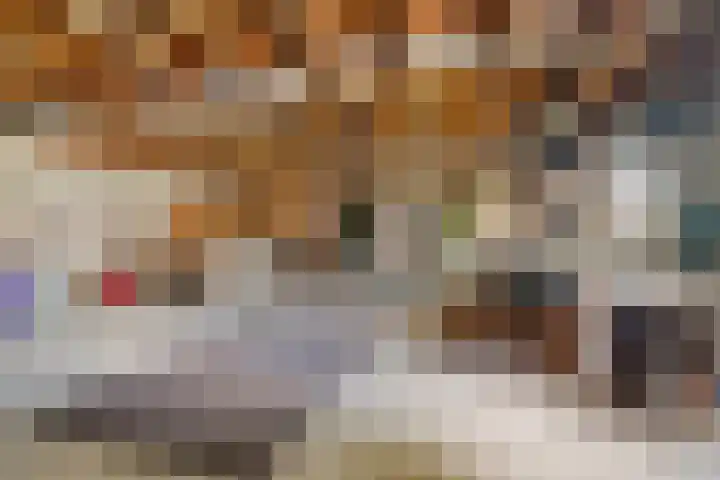 Hogehoek 11 Oeffelt thumbnail 21