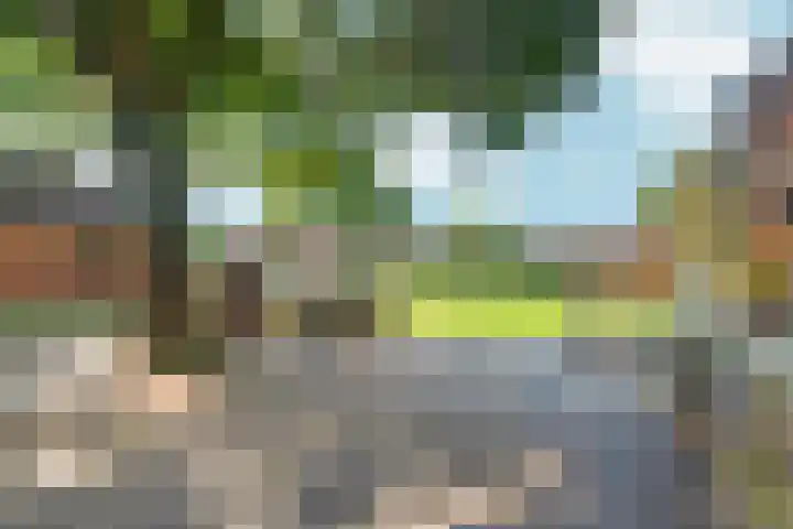 Hogehoek 11 Oeffelt thumbnail 22