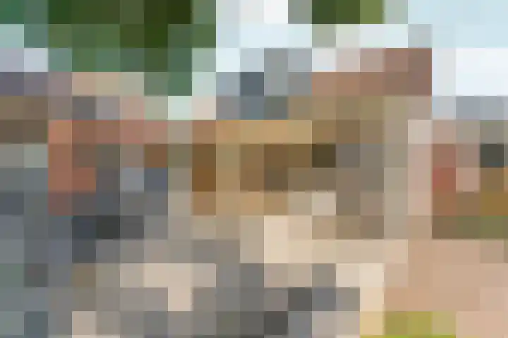 Hogehoek 11 Oeffelt thumbnail 23
