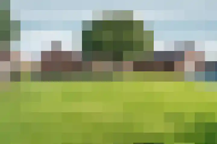 Hogehoek 11 Oeffelt thumbnail 24