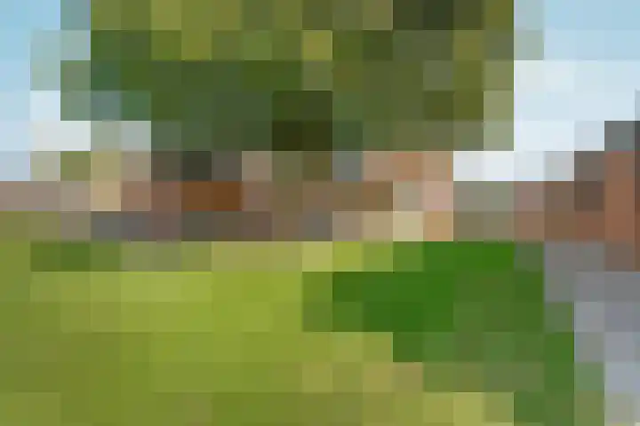 Hogehoek 11 Oeffelt thumbnail 26