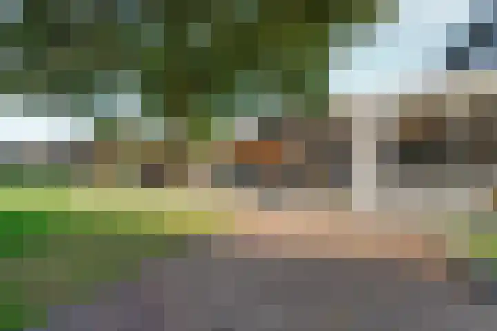 Hogehoek 11 Oeffelt thumbnail 27