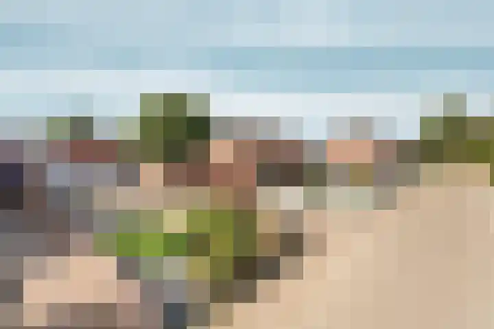 Hogehoek 11 Oeffelt thumbnail 6